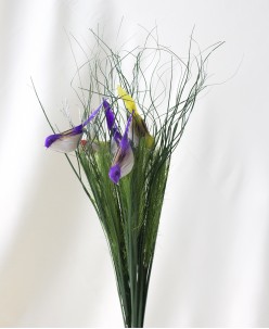 Saleks Modelleri (2)